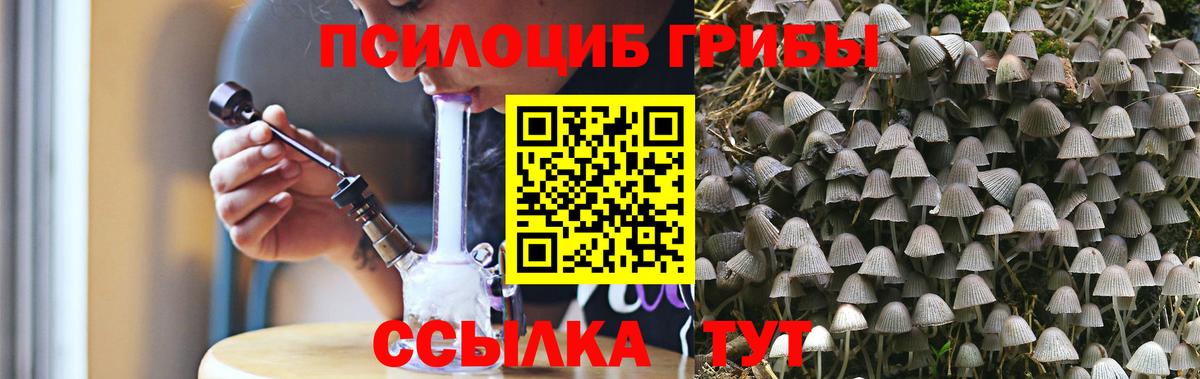 Батайск  Галлюциногенные грибы прущие грибы  Вход с VPN  Псилоцибиновые грибы Psilocybe 